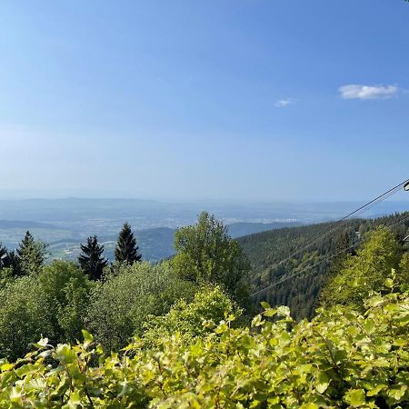 Neue Ferienwohnung Mit Whirlpool Und Sauna In Der Residenz Grafenmatt Inklusive Hochschwarzwaldcard Feldberg  Zewnętrze zdjęcie