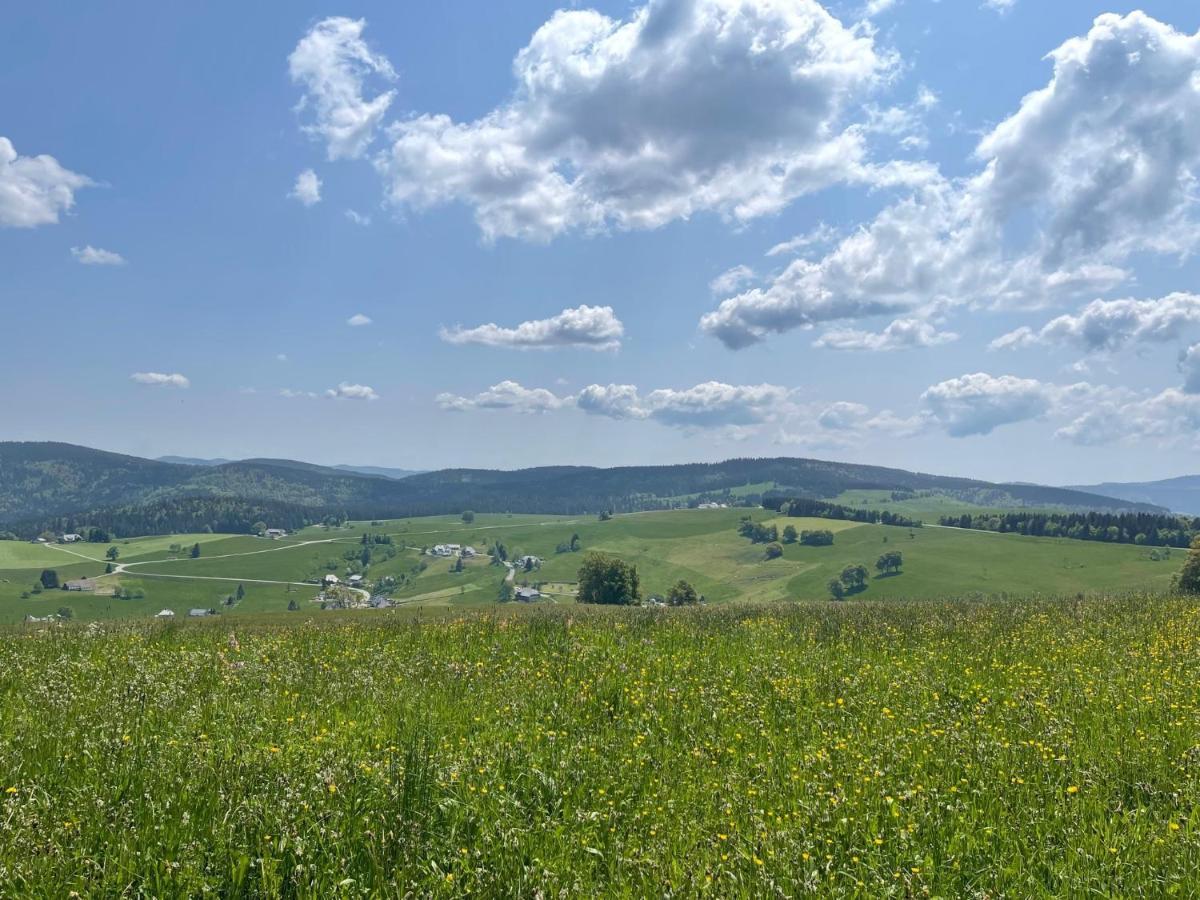 Neue Ferienwohnung Mit Whirlpool Und Sauna In Der Residenz Grafenmatt Inklusive Hochschwarzwaldcard Feldberg  Zewnętrze zdjęcie
