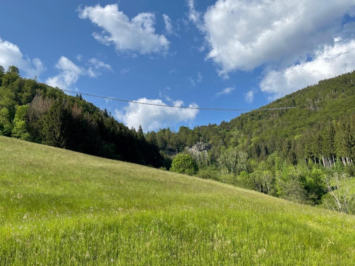 Neue Ferienwohnung Mit Whirlpool Und Sauna In Der Residenz Grafenmatt Inklusive Hochschwarzwaldcard Feldberg  Zewnętrze zdjęcie